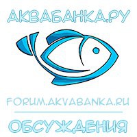 Практика Ульяновск Интернет Магазин