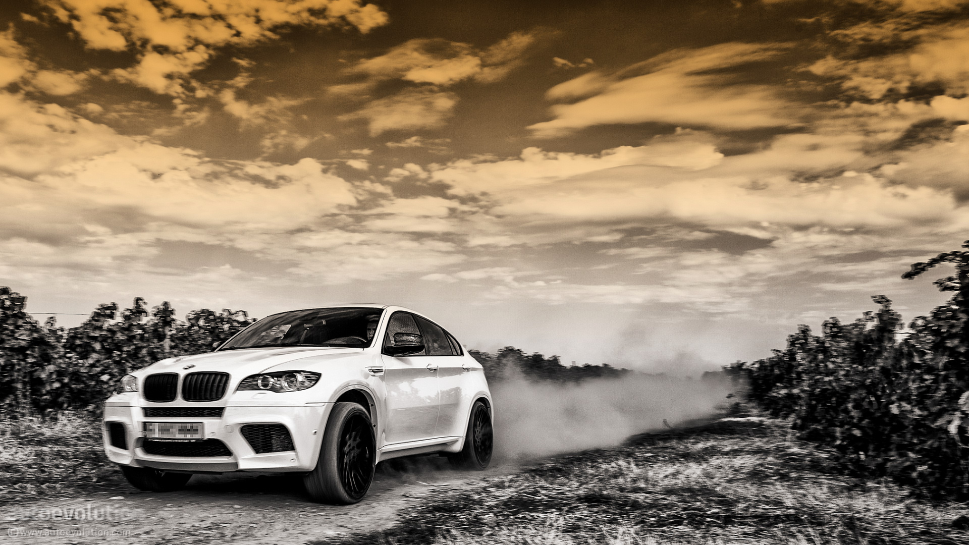 Фары BMW x6m